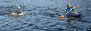 luray triathlon open water swim