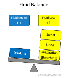 works fluid balance how Triathlon Training in Tips  ENDURANCEWORKS Three Heat  for