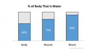 percent of human body that is water