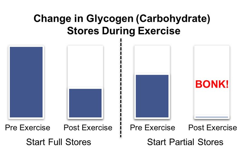 change in carbohydrate stores after exercise